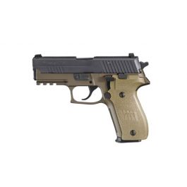 Image of Ruger Bearcat .22 lr Pistol, Stainless Steel - 0917 Display Model