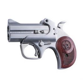 Image of Taurus Pistol 25 Polymer SS .25acp Dsiplay Model