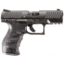 Image of Sig Sauer P365 9mm Pistol w/ Night Sights, Stainless - 365-9-TXR3