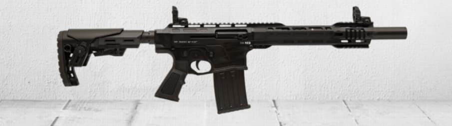Image of BEST ARMS BA 812