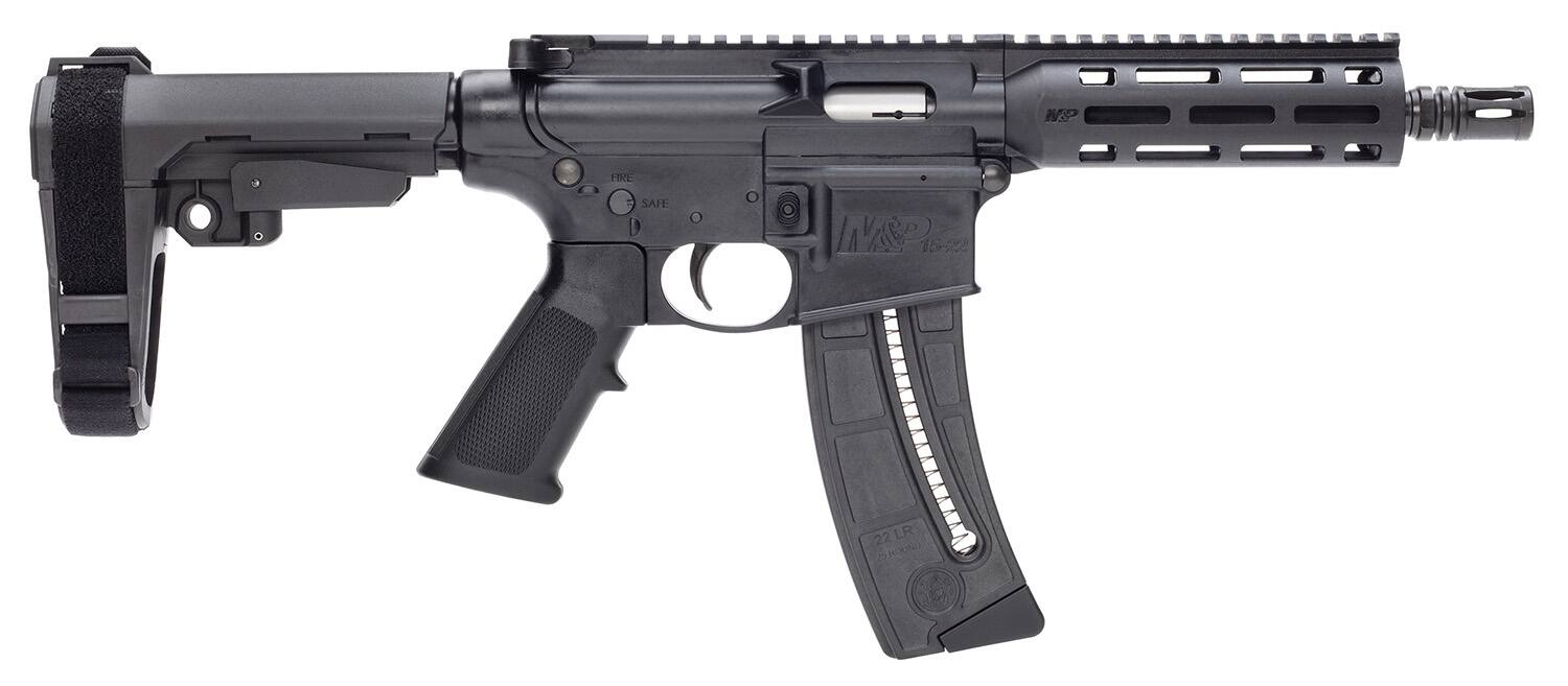 Image of Smith & Wesson M&P15-22