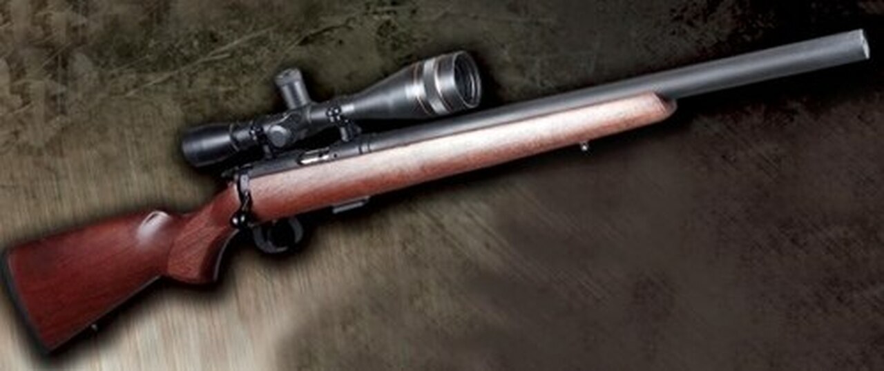 Image of AWC Ruger 10/22 Blued with Ulta 13 Removable Core Suppressork with Hardwood Stock
