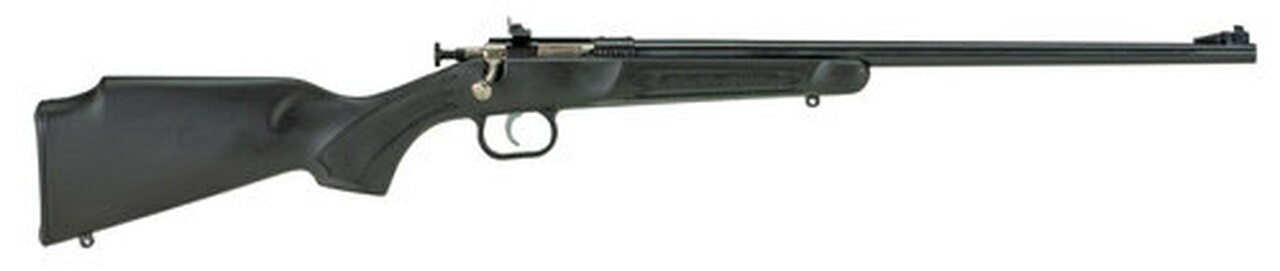 Image of Cricket Black Synthetic Blue 22LR, 2 Spacers