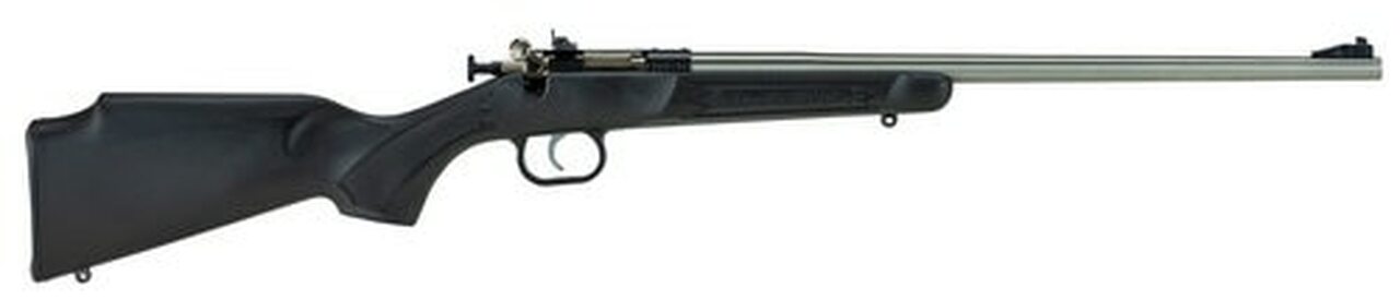 Image of Cricket Black Synthetic 22LR, Stainless, 2 Spacers