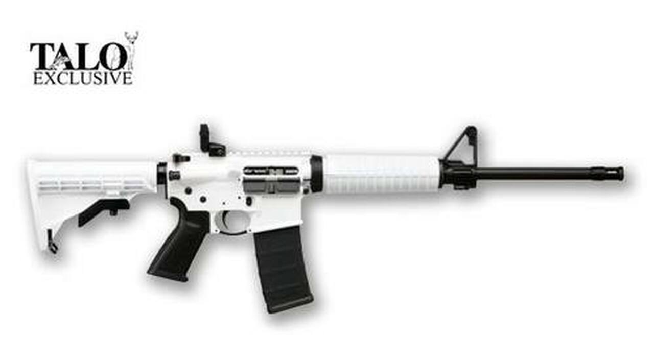 Image of Ruger AR-556 Whiteout AR-15 5.56/223 16" Barrel, Flip Rear Sight, 30rd MagPul Mag, TALO Edition