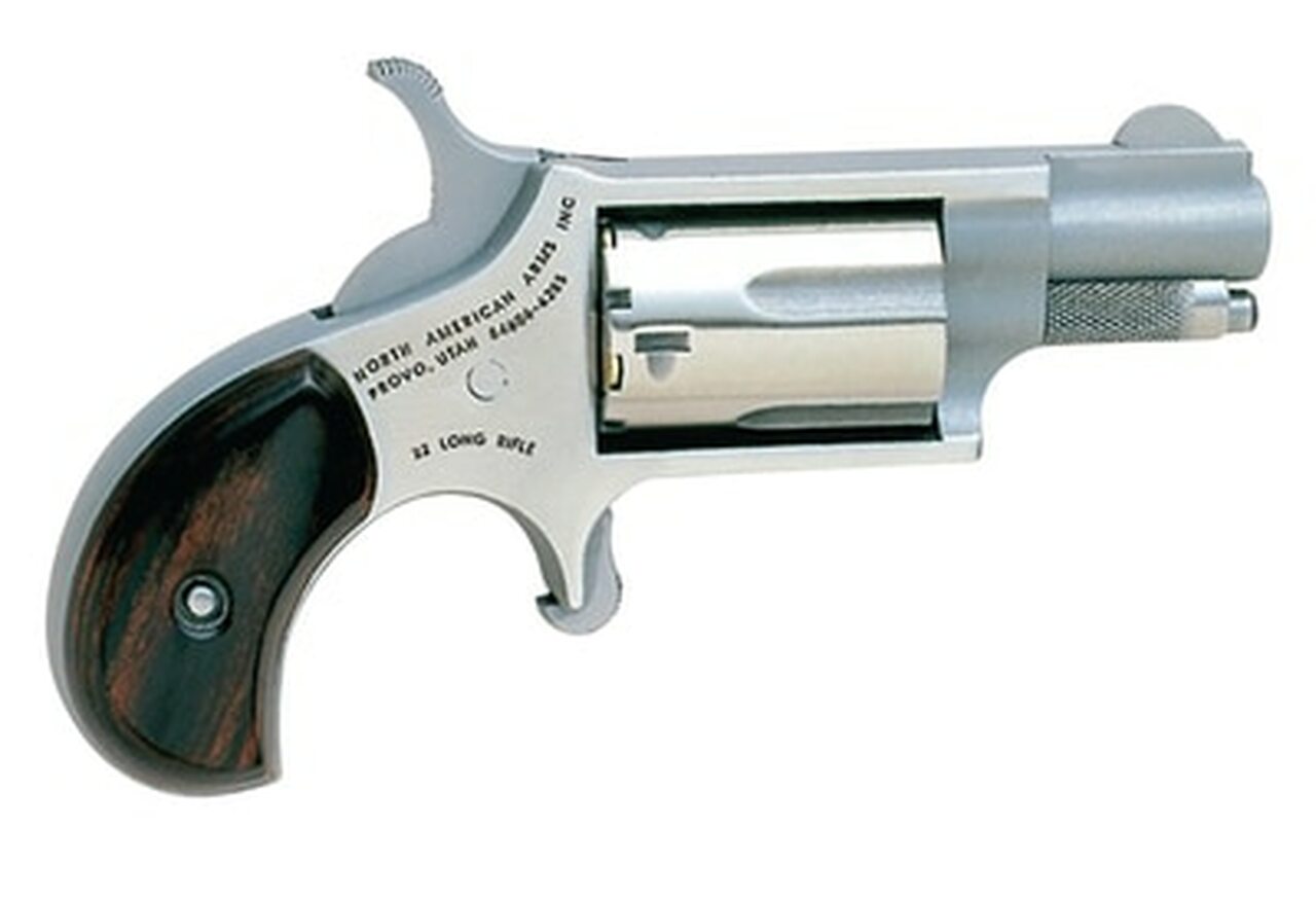 Image of NAA Companion Mini Cap And Ball Revolver Kit .22 Caliber 1.125" Barrel Stainless Steel 5 Shot