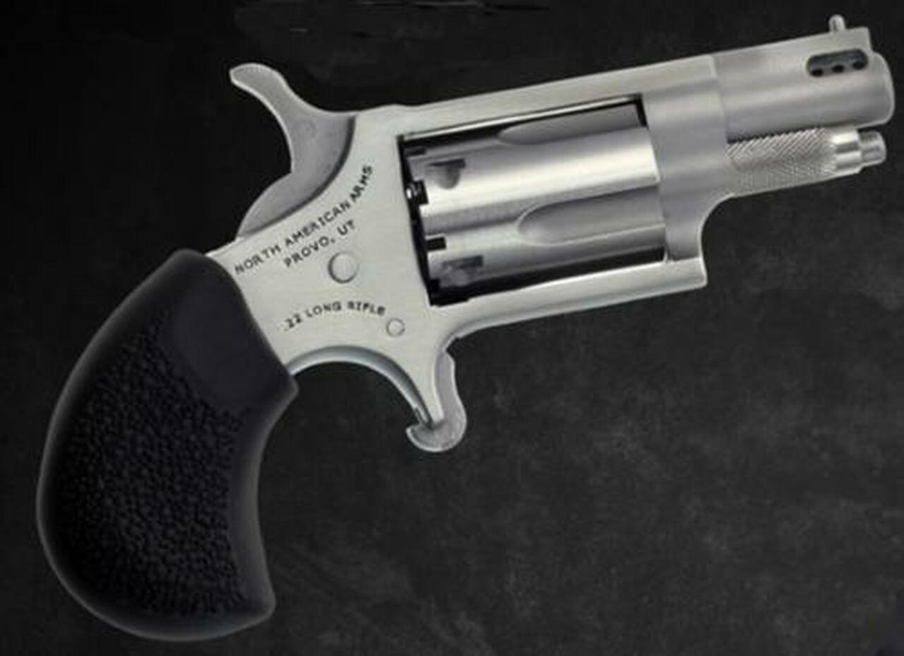 Image of North American Arms Mini 22lr Rev 1-1/8 Ss Ported