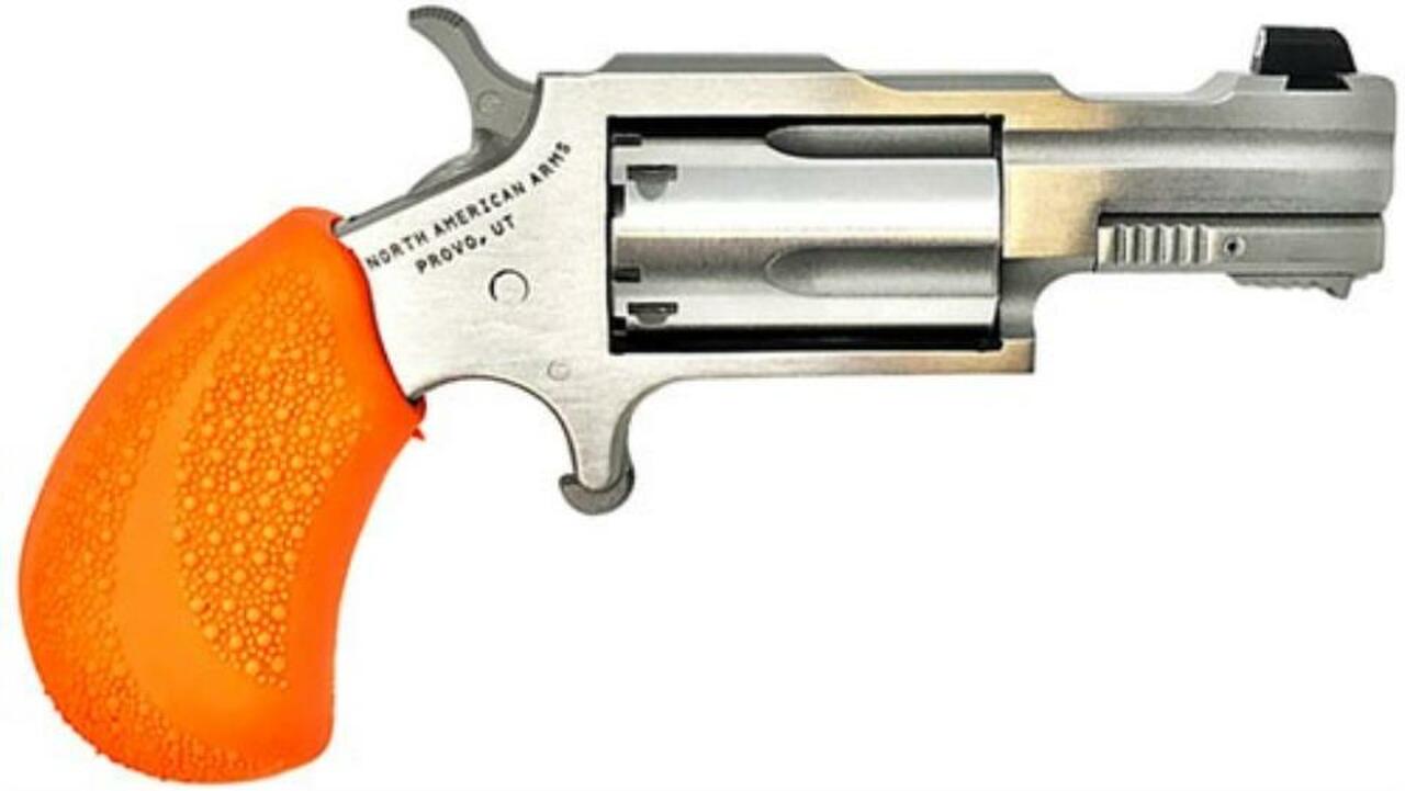 Image of North American Arms NAA BUG OUT BOX 22LR 1-1/8" SS Barrel Orange Grip, Waterproof Box