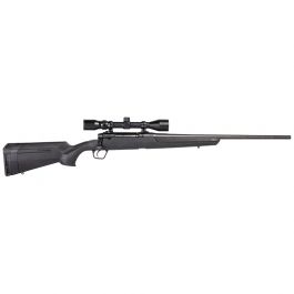 Image of Henry The Silver Eagle .17 HMR Lever Action Rifle, Brown - H004SEV