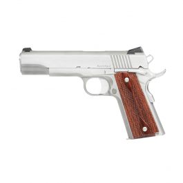 Image of Dan Wesson Razorback 10mm Pistol, Stainless - 01889
