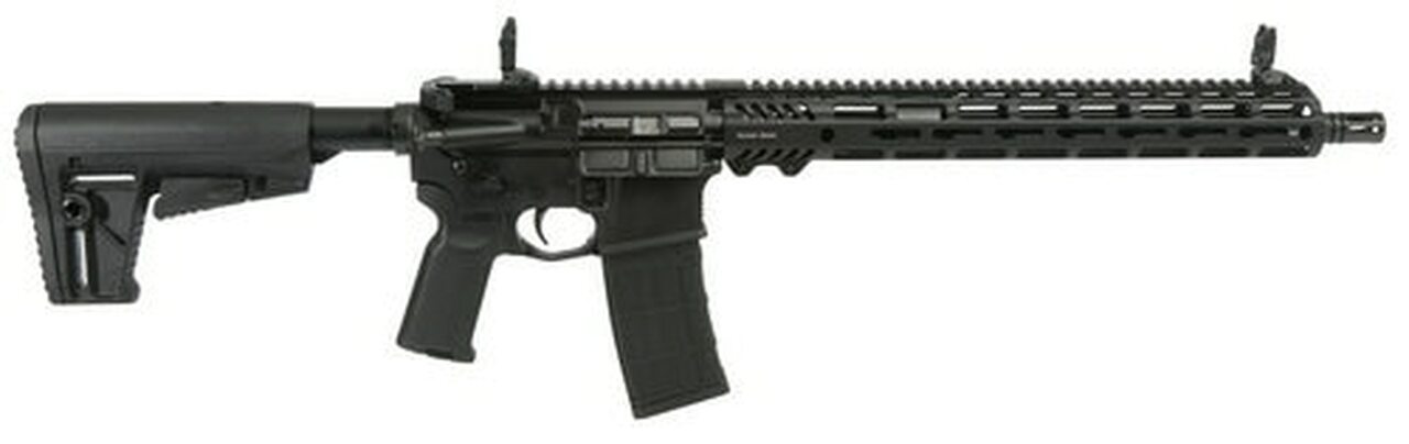 Image of Adams Arms P2 300 Blackout 16" 6-Position Collapsible Stock QPQ Melonite/Black Nitride