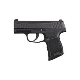 Image of Sig Sauer P224 .40 S&W Nickel 224-40-NSS